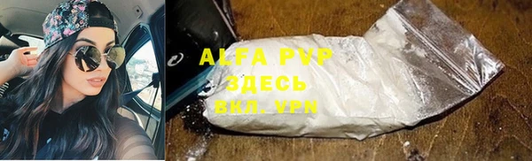 apvp Вяземский